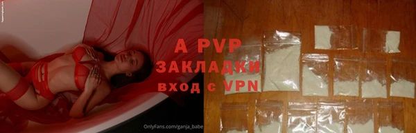 PSILOCYBIN Аркадак